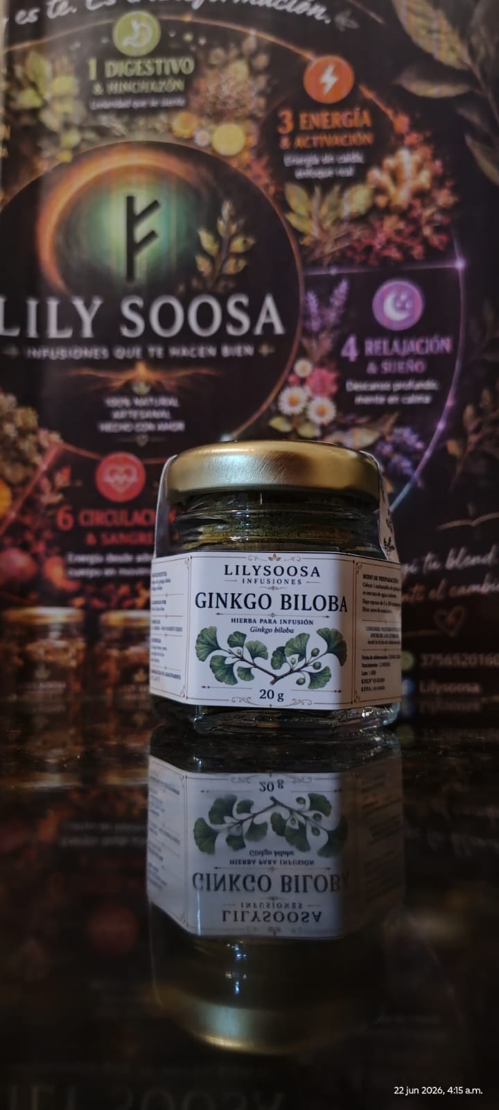 Ginkgo Biloba